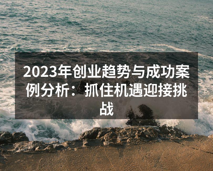 2023年创业趋势与成功案例分析：抓住机遇迎接挑战