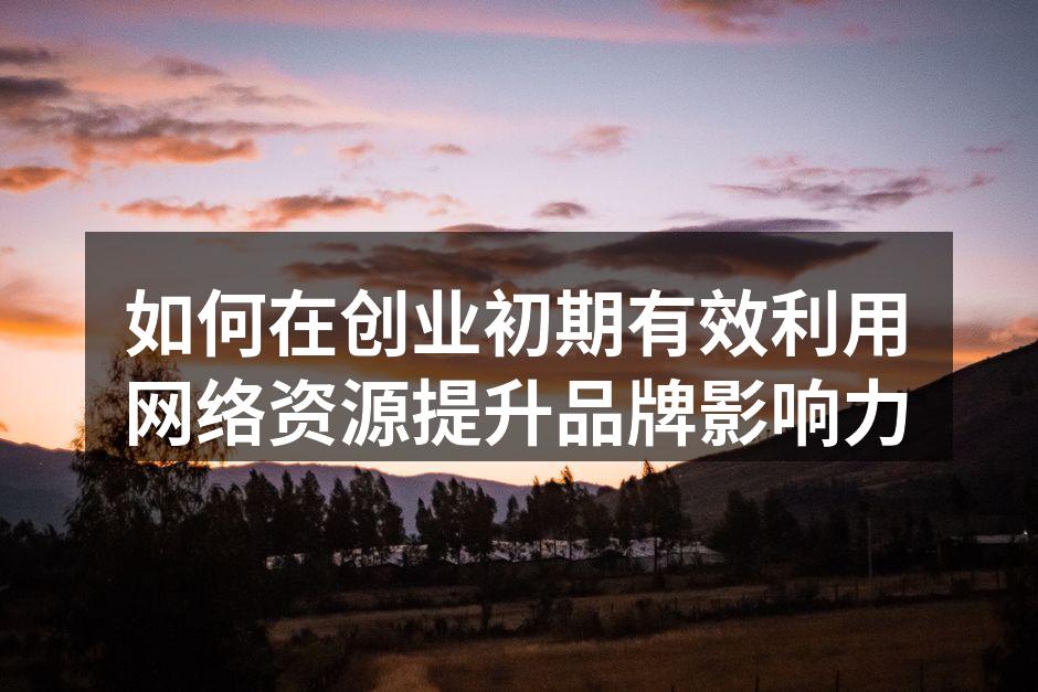 如何在创业初期有效利用网络资源提升品牌影响力