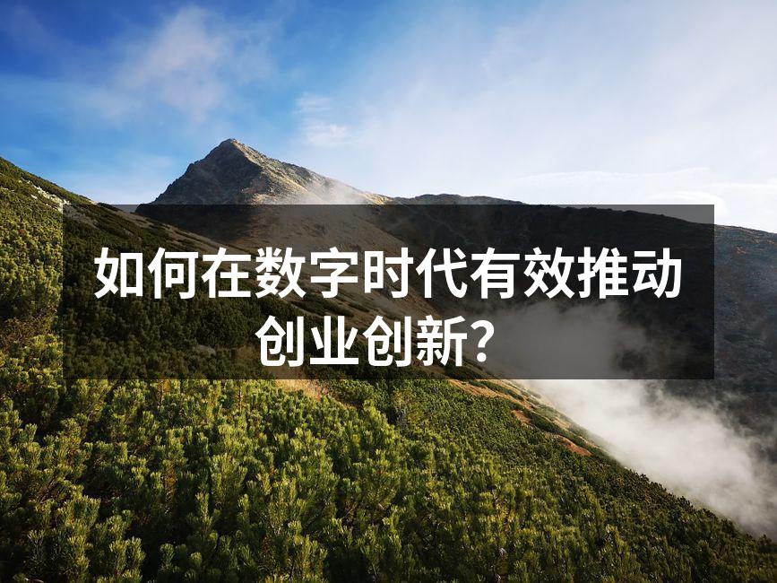 如何在数字时代有效推动创业创新？