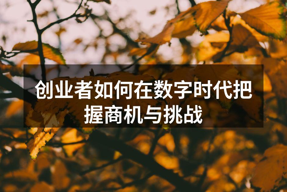创业者如何在数字时代把握商机与挑战